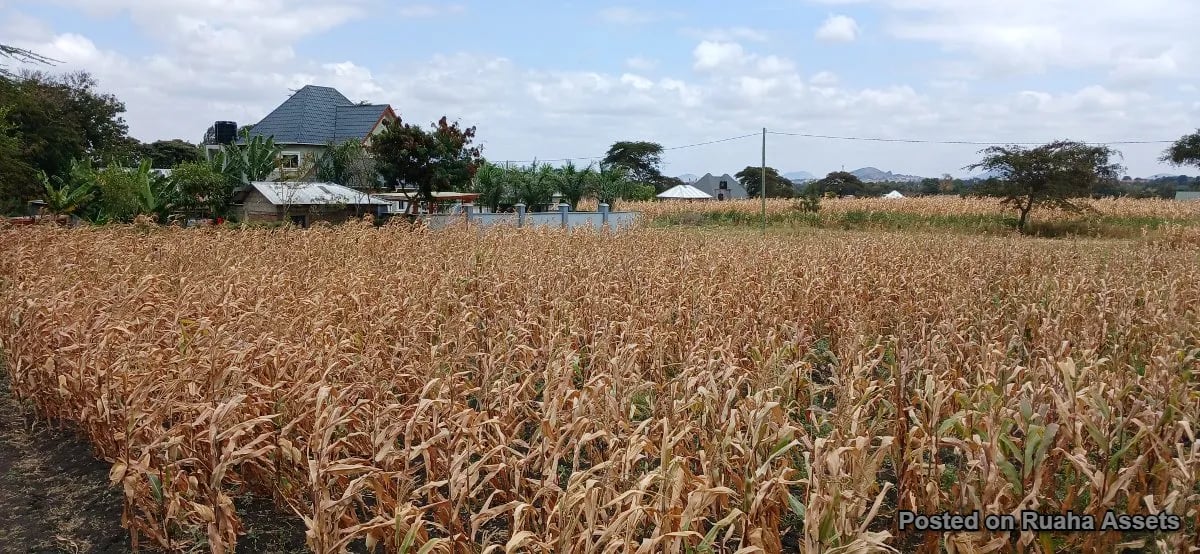 Half acre plot for sale at Njiro, Arusha. image 8