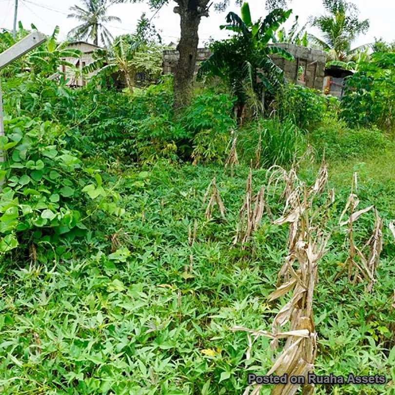 Residential & Commercial Plot for Sale image 7