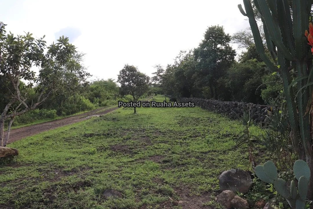 15 acres Plot for Sale at Kili Golf Arusha image 6