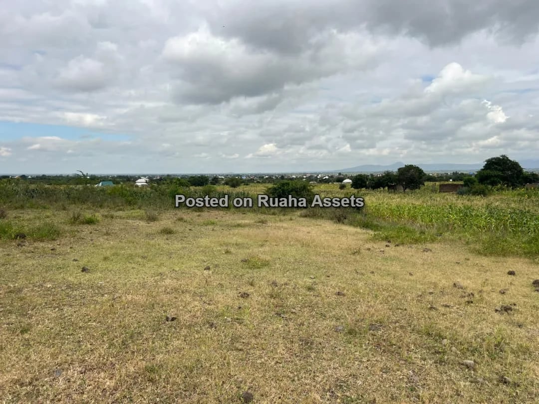 58 ACRES OF FARMLAND IS AVAILABLE FOR SALE Price is 17 million T-shillings per acre image 6
