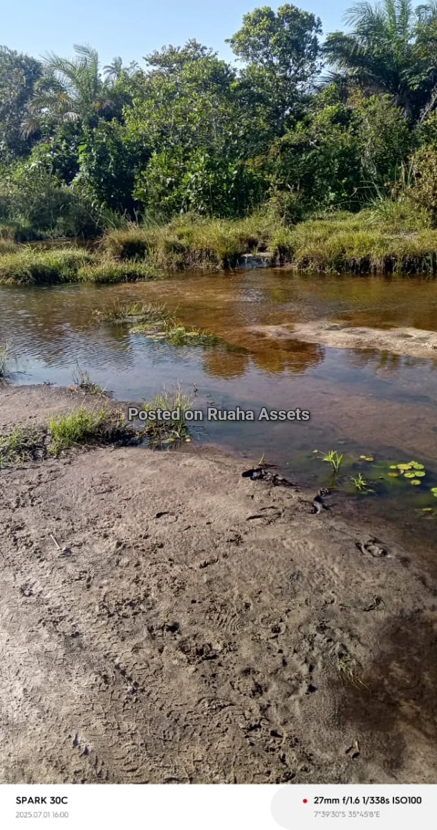 Shamba heka 120 linauzwa Kimbili Mkuranga image 3