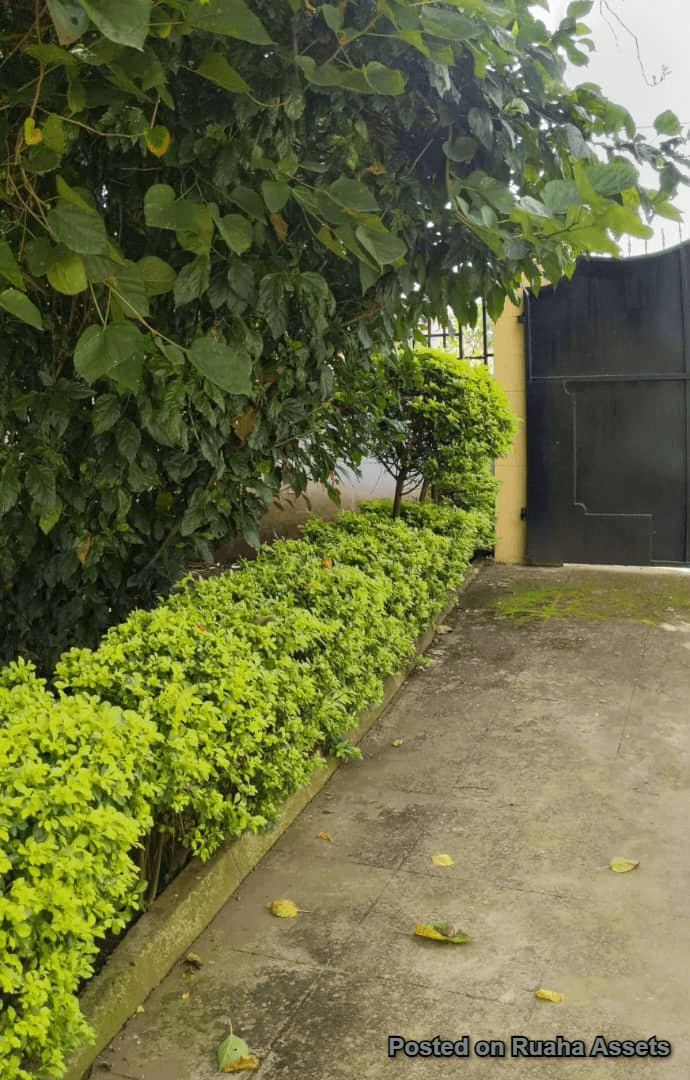 Property for Sale at Njiro, Arusha image 7
