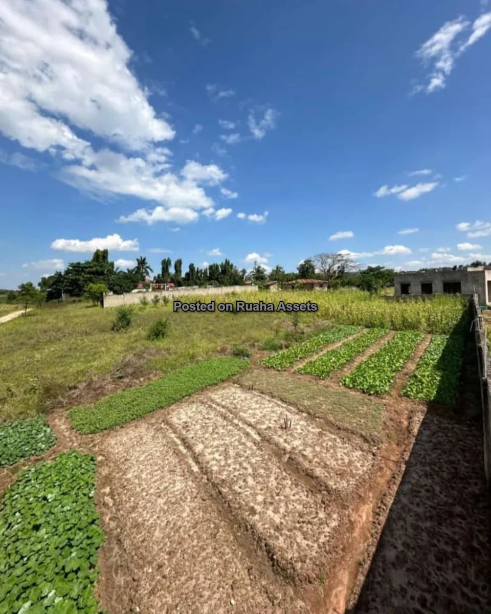 Plot for Sale at Sala Sala, Dar es Salaam image 1