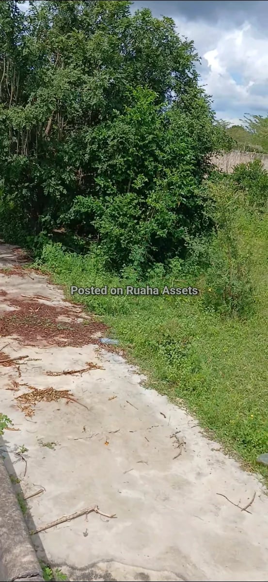 Prime Industrial Plot for Sale at Chamakweza image 7