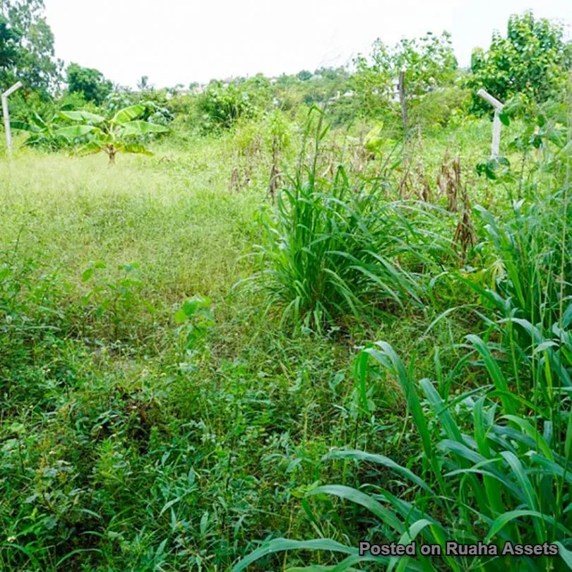 Residential & Commercial Plot for Sale image 4