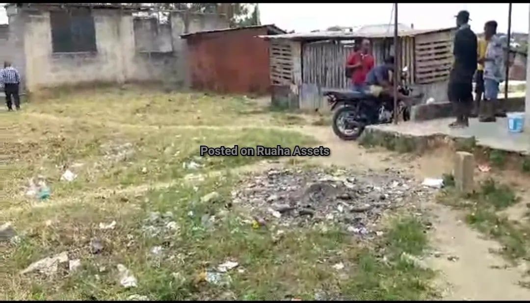 Plot for Sale at Goigi Mbezi Beach image 3