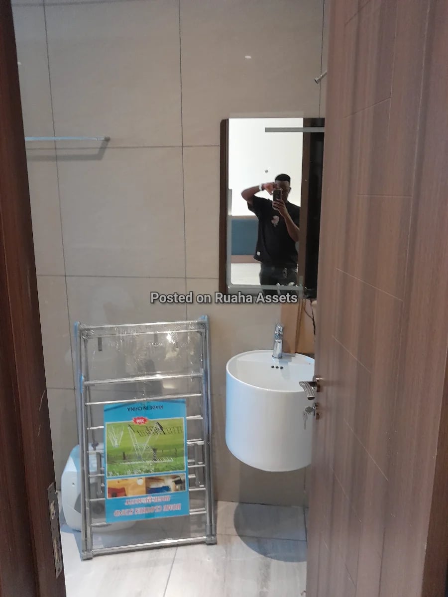 ๐ฅ Brand New Luxury 2 Bedroom Apartment in Kinondoni image 12