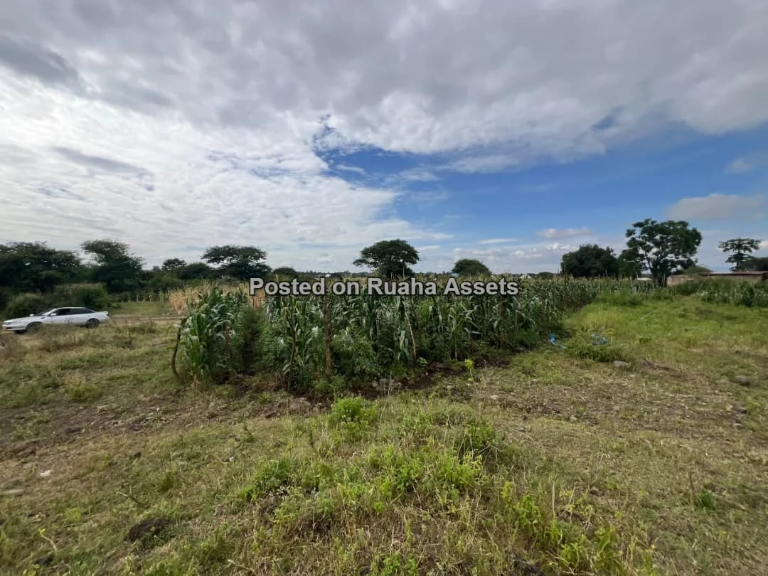 58 ACRES OF FARMLAND IS AVAILABLE FOR SALE Price is 17 million T-shillings per acre image 5