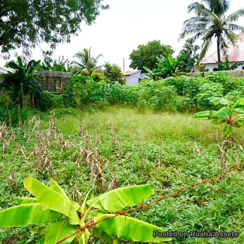 Residential & Commercial Plot for Sale image 5