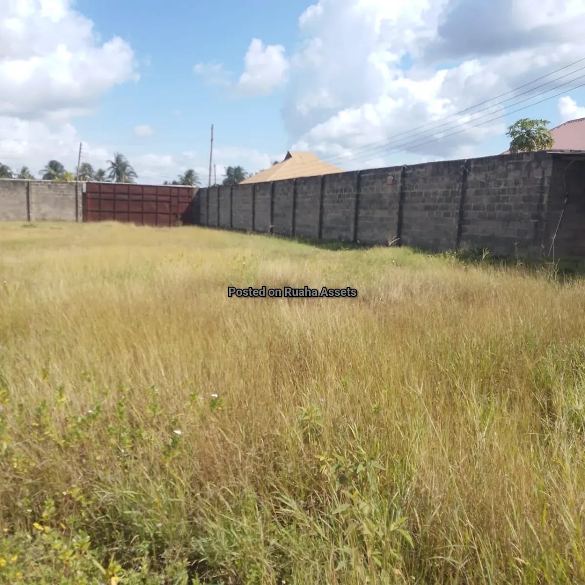 Warehouse for lease at Misugusugu image 6