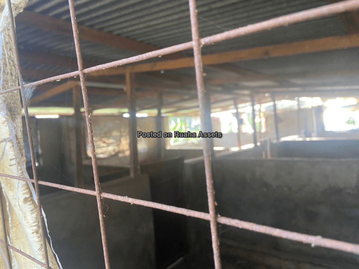 Shamba la Heka mbili, Nelson Mandela University Arusha image 3