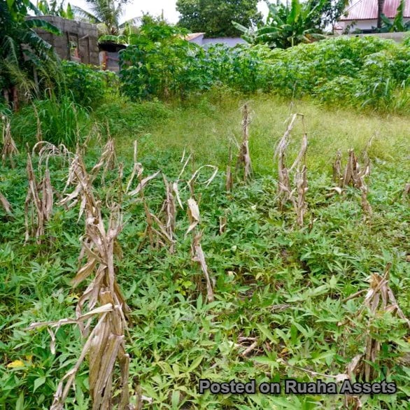 Residential & Commercial Plot for Sale image 8