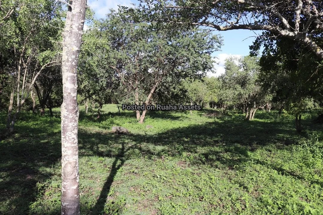 House for Sale on 15 acres for sale at Kili golf Arusha image 13