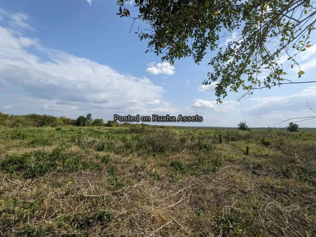 plot for sale at Chalinze image 2