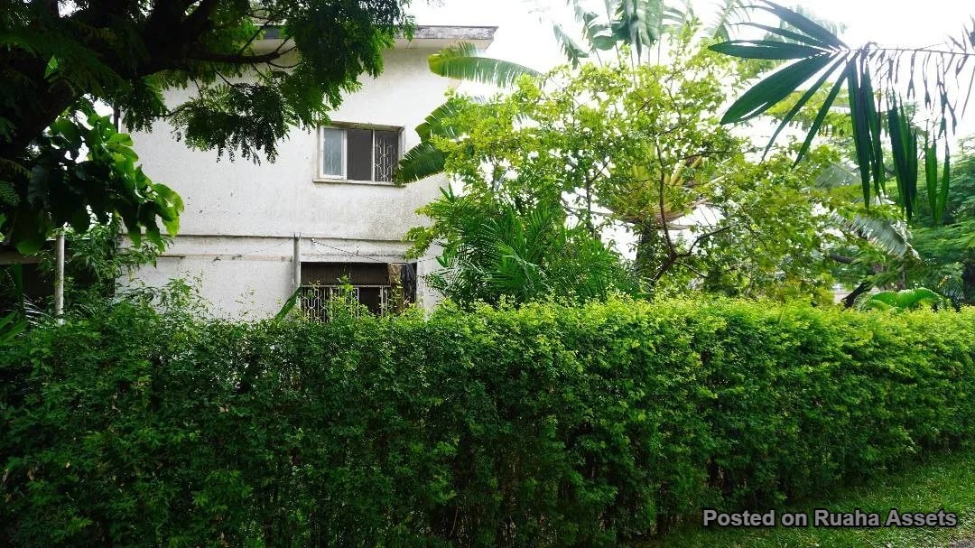 Uporoto Property for Joint Venture image 5