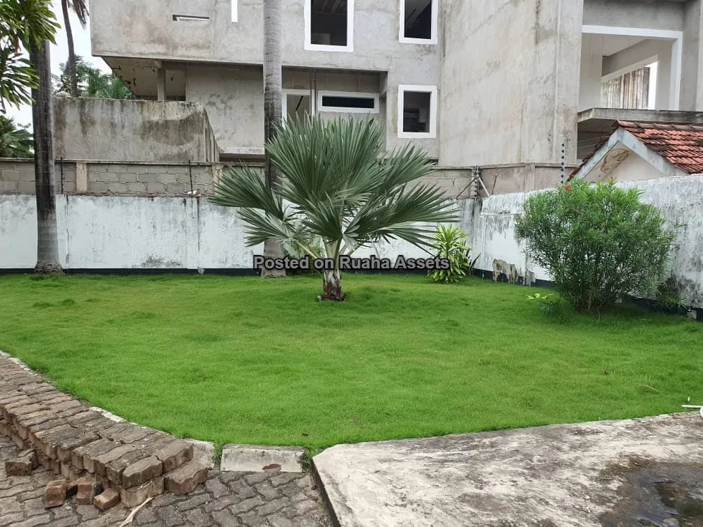 Villa for rent at Mikocheni image 11