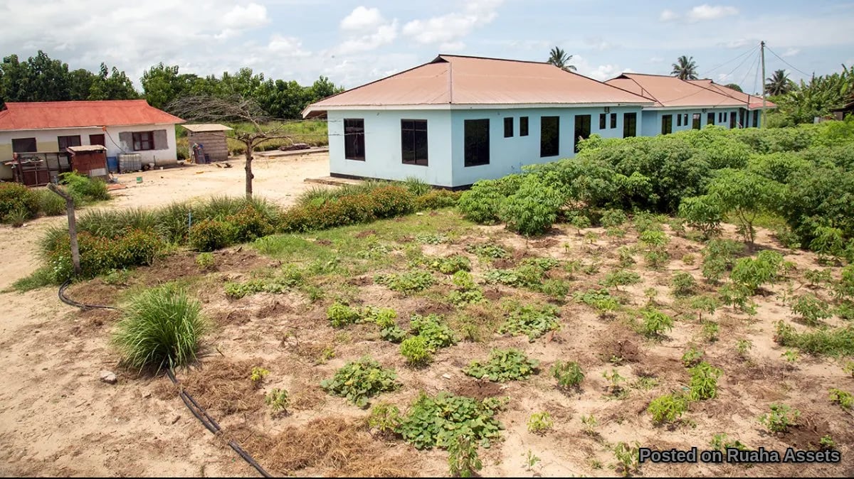 Prime Plot for Sale at Mabwepande image 3