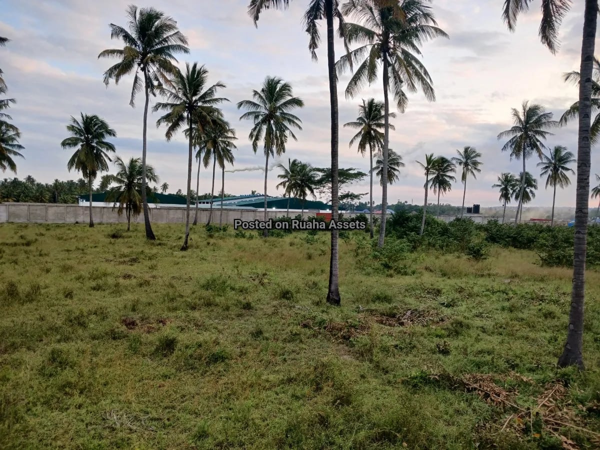 Industrial Plot for Sale at Mkuranga image 1
