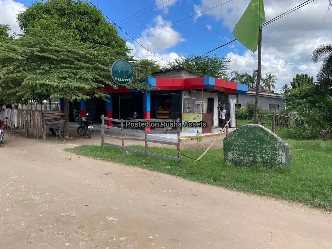 Budget Plot for Sale in Mbezi Beach image 2