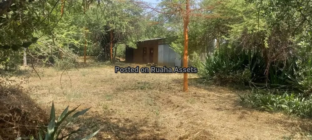 Big Plot with a House for Sale Njiro Arusha image 13