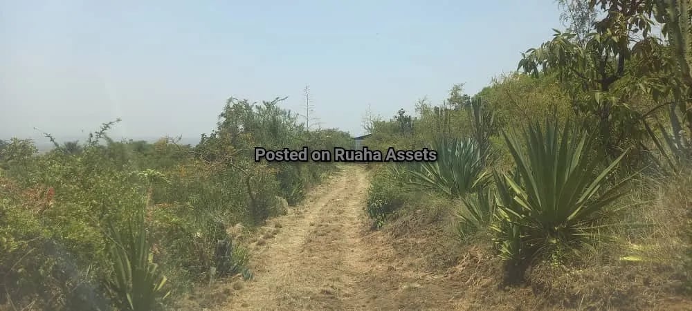 Big Plot with a House for Sale Njiro Arusha image 9