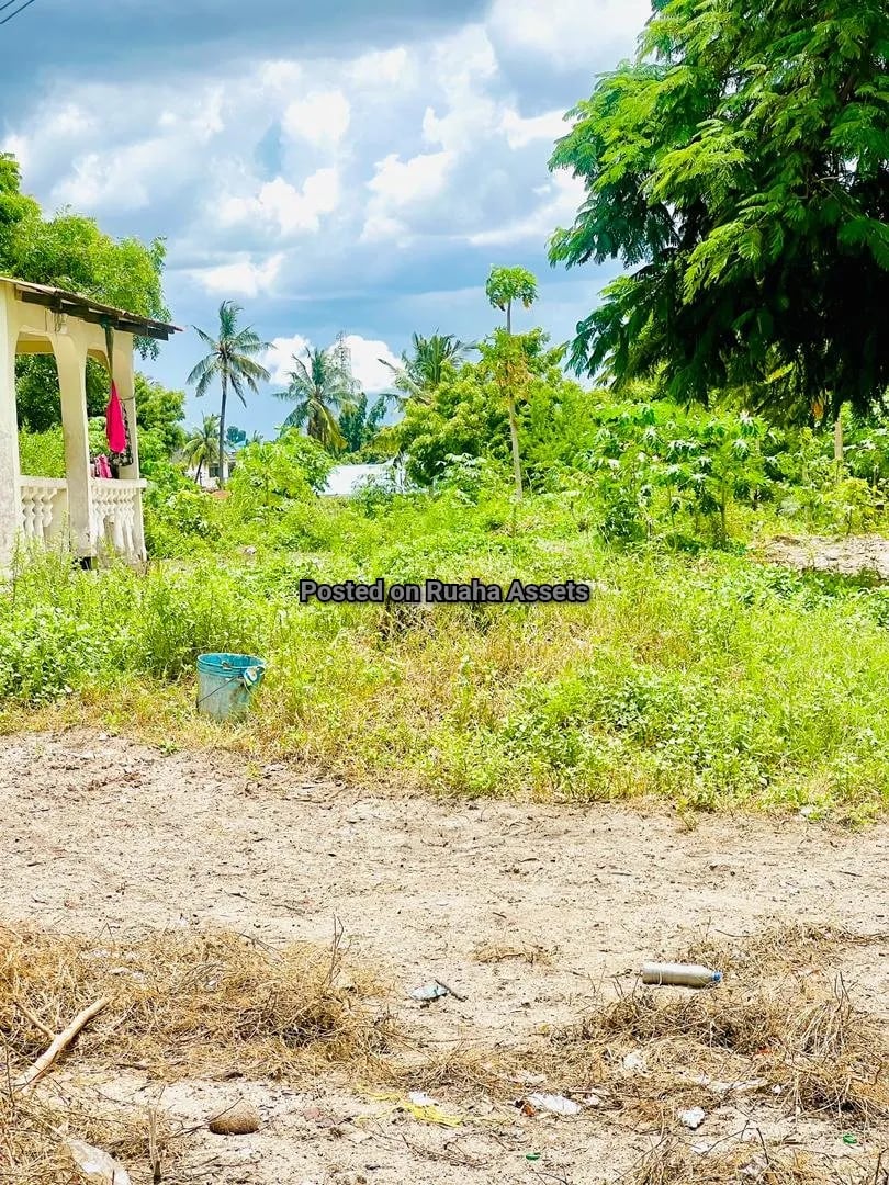 Eneo la Heka moja linauzwa Tabata Bima image 6