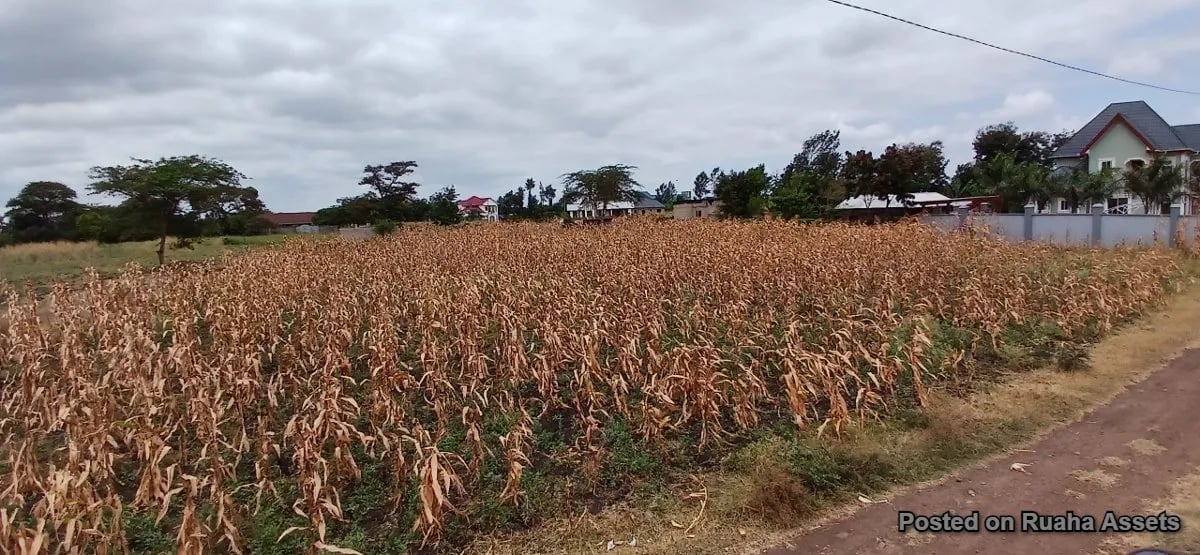 Half acre plot for sale at Njiro, Arusha. image 2