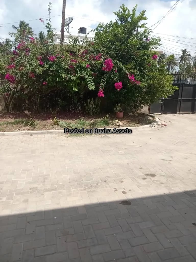 Standalone for Rent Mikocheni image 3