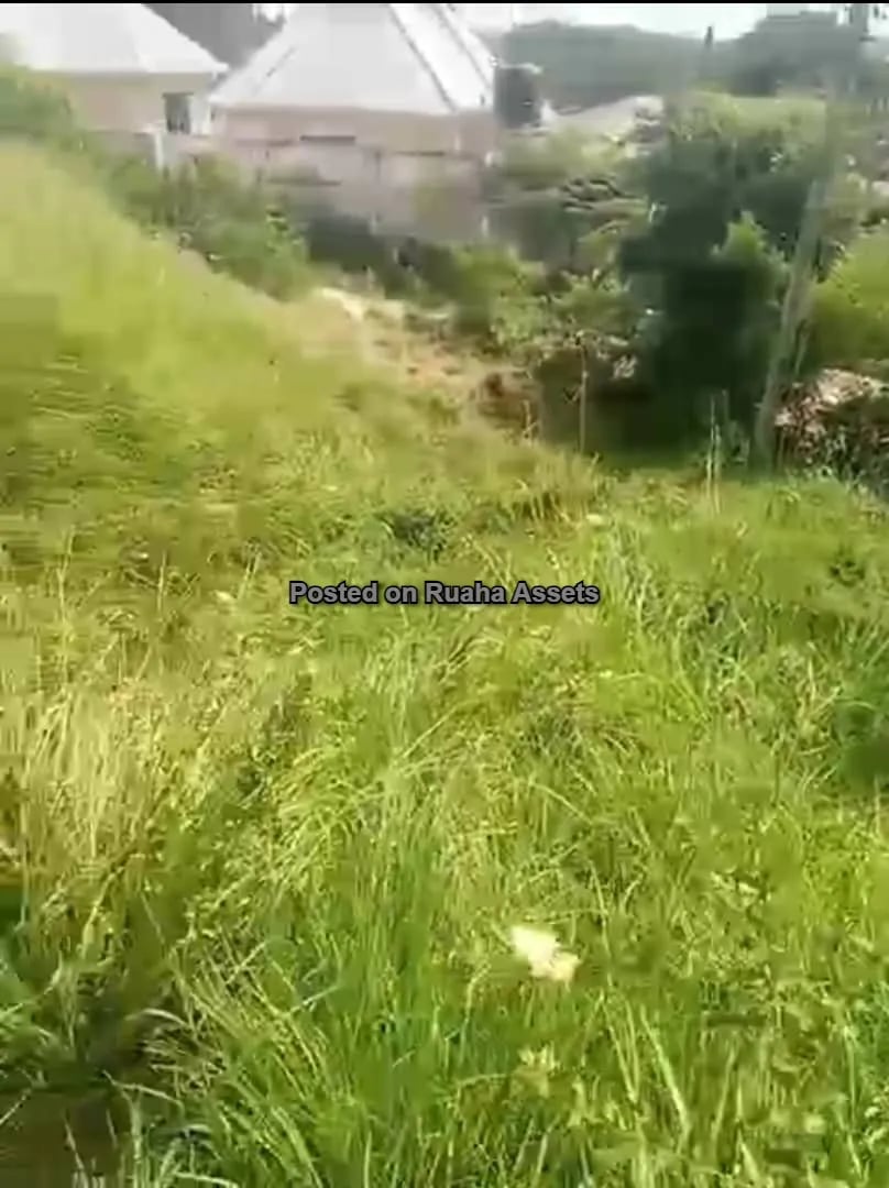 A plot for Sale at Kimara Korogwe image 5