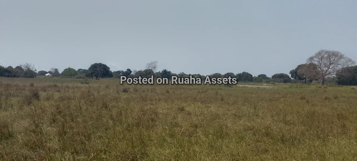 Plots at Kitopeni Bagamoyo image 3