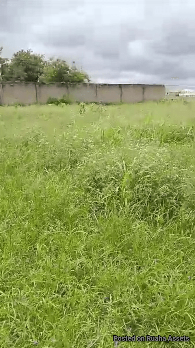 Half an acre for sale Mabwepande image 5