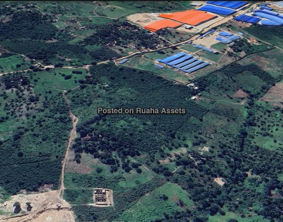 Prime Land For Sale 16.87 ACRES image 4