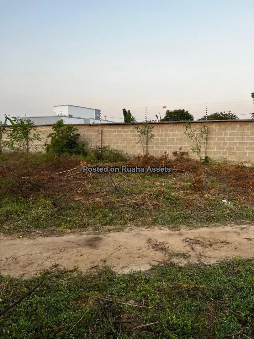 Ocean View Plot for Sale image 3