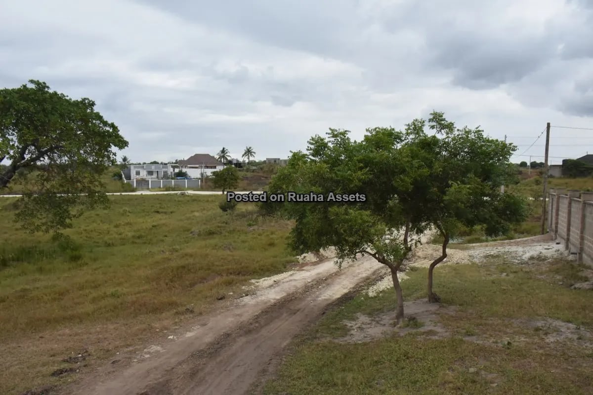 Viwanja Vikubwa Vinauzwa Mabwepande image 4