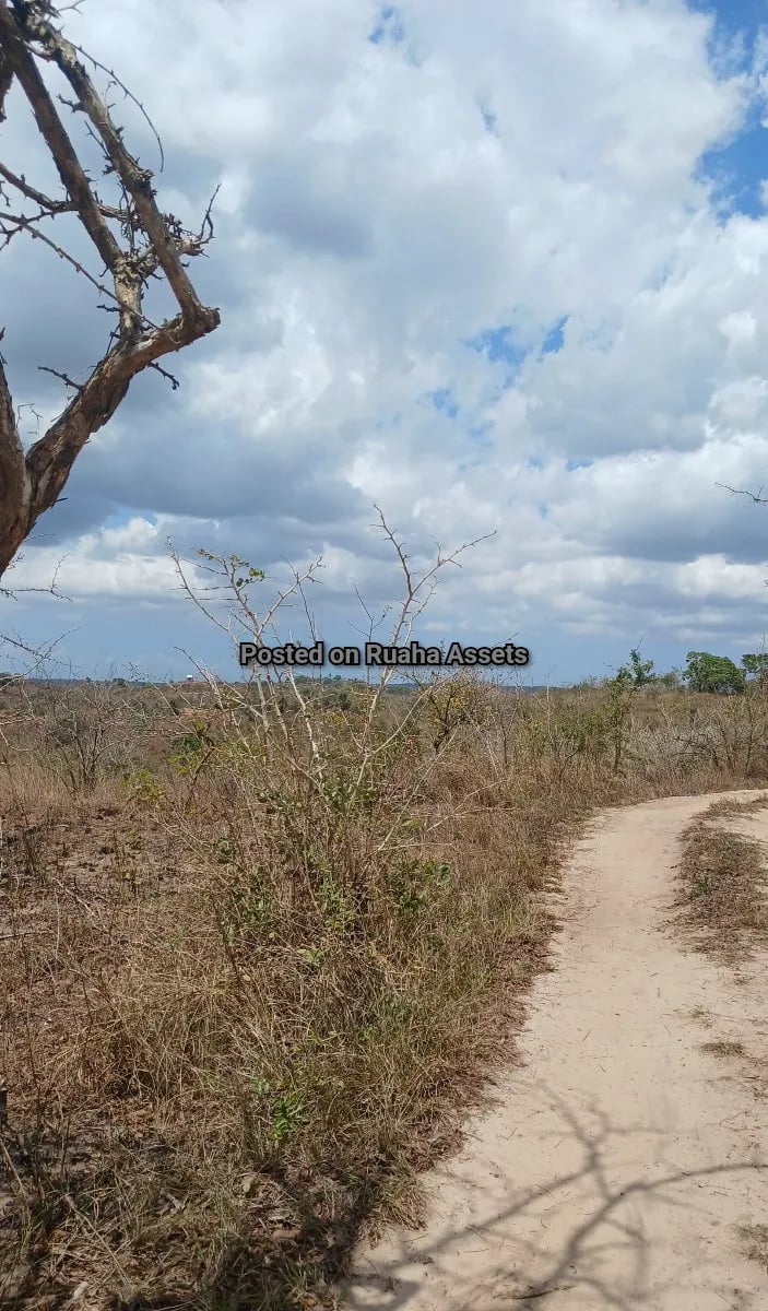 Big Industrial Plot for Sale at Kisarawe image 1