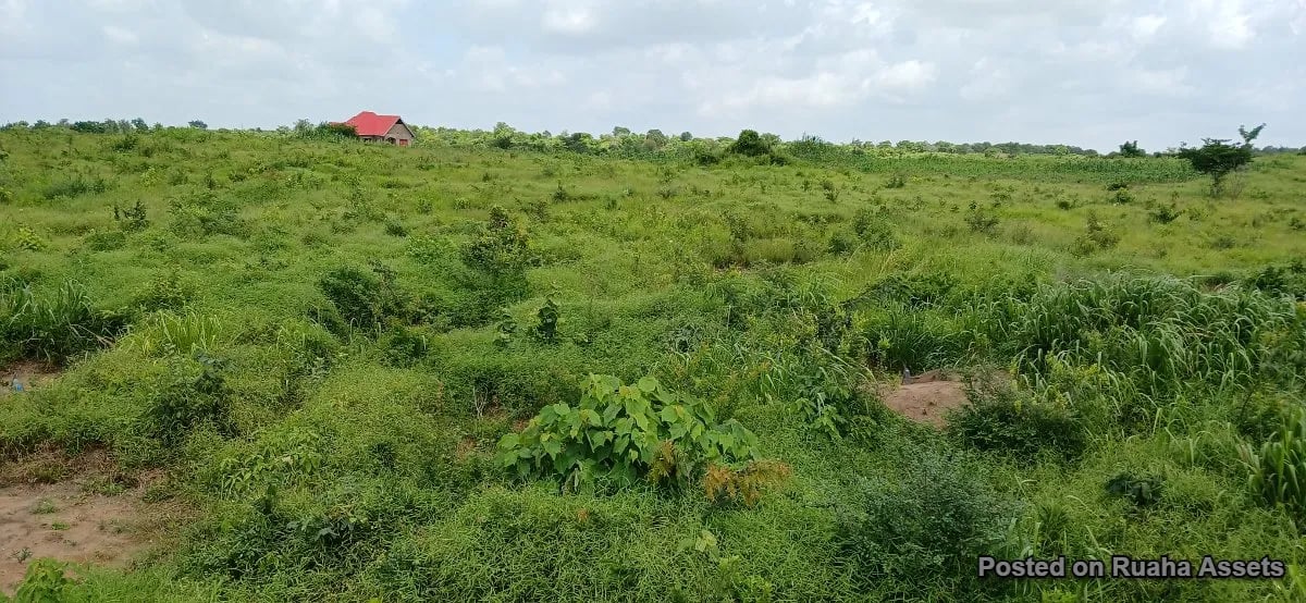 10 acres for sale at Kibaha image 2