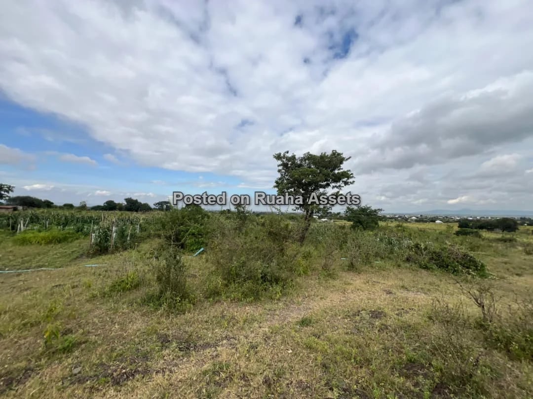 58 ACRES OF FARMLAND IS AVAILABLE FOR SALE Price is 17 million T-shillings per acre image 7
