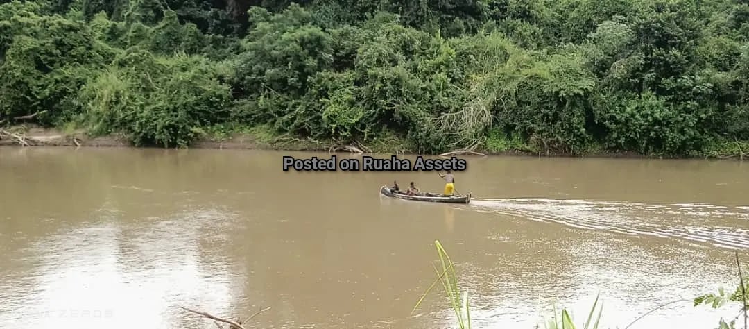 Flat farm along Wami river for Sale image 3