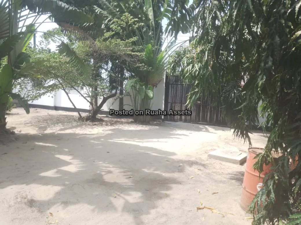 NYUMBA KUBWA INAUZWA image 4