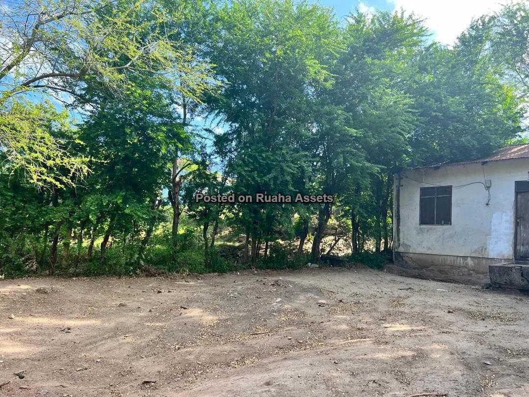 Prime Corner Plot on Sale at Mbezi Jogoo image 2