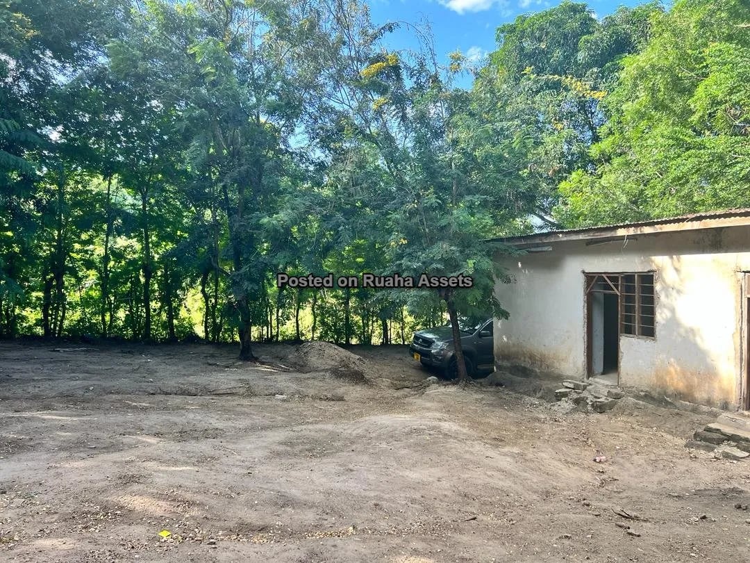 Prime Corner Plot on Sale at Mbezi Jogoo image 6