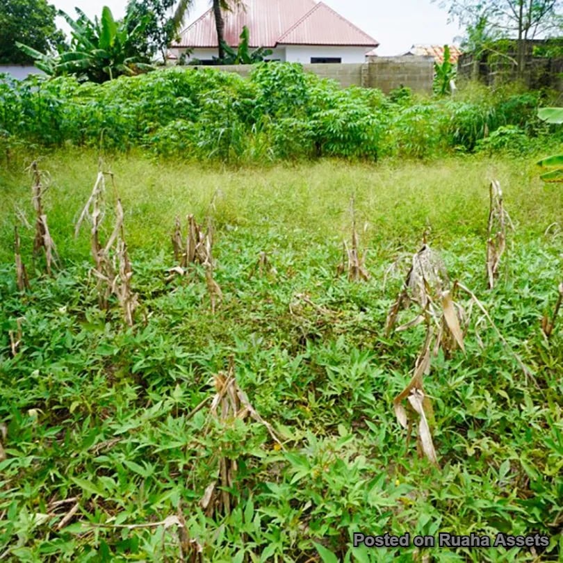 Residential & Commercial Plot for Sale image 3