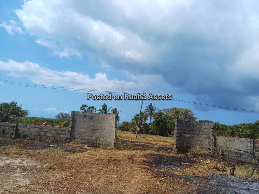 Beach House at Mbutu Beach image 3