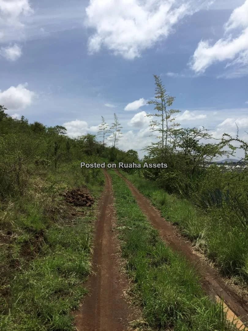 Commercial Property with Company Title Deed for sale in Arusha image 3
