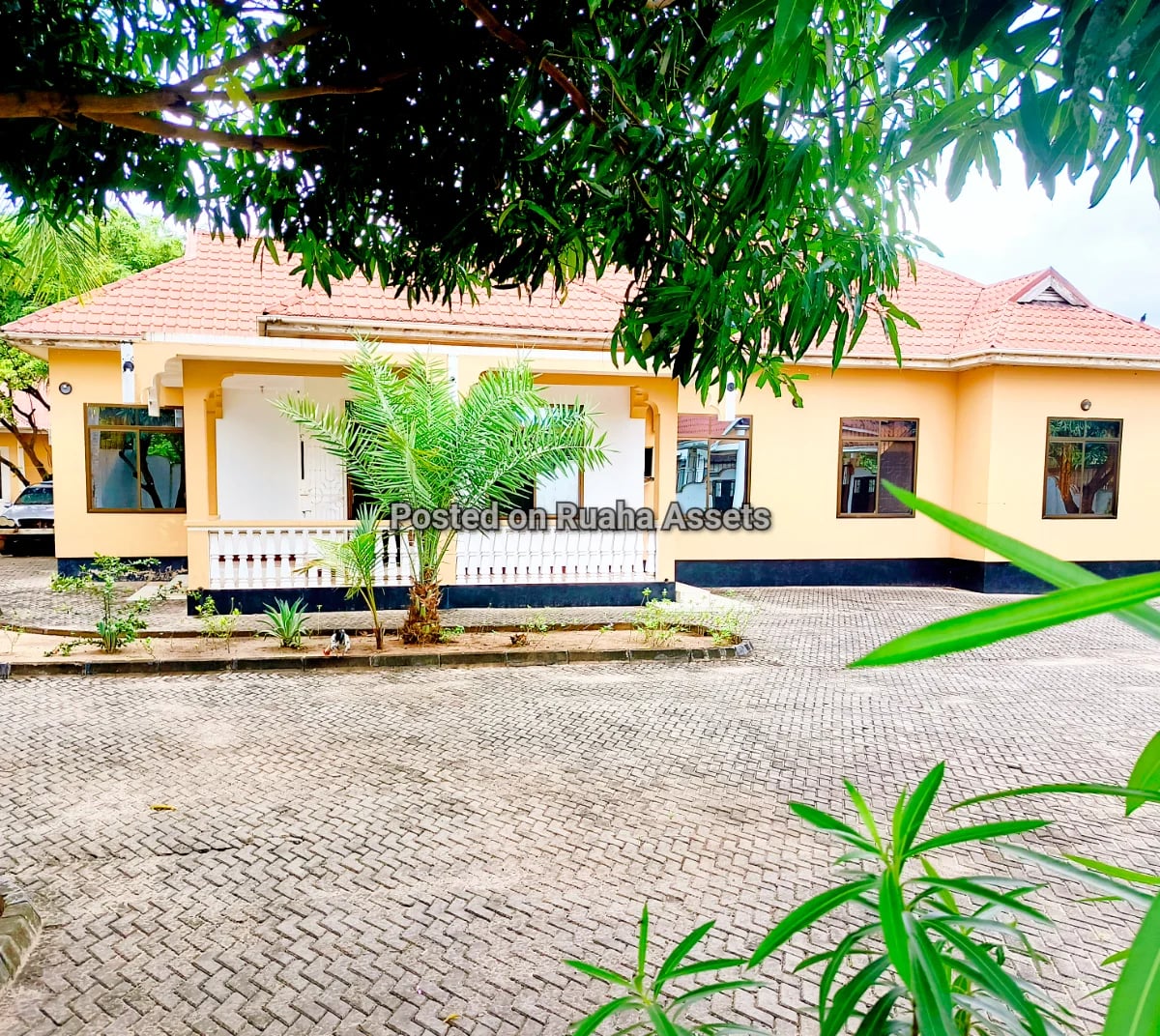 Three Modern Houses in one plot image 2