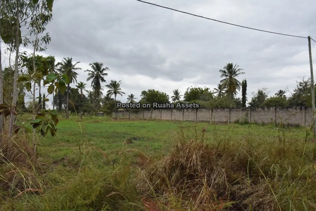 Kiwanja Kikubwa Kinauzwa Mabwepande image 5