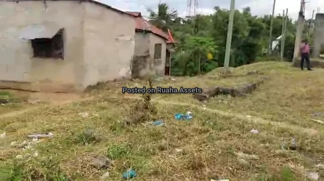 Plot for Sale at Goigi Mbezi Beach image 4