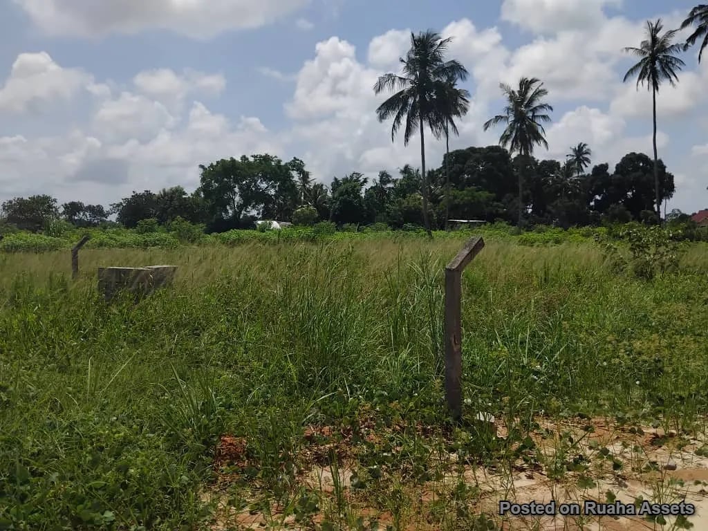 1 acre for sale, Mataya - Bagamoyo image 8