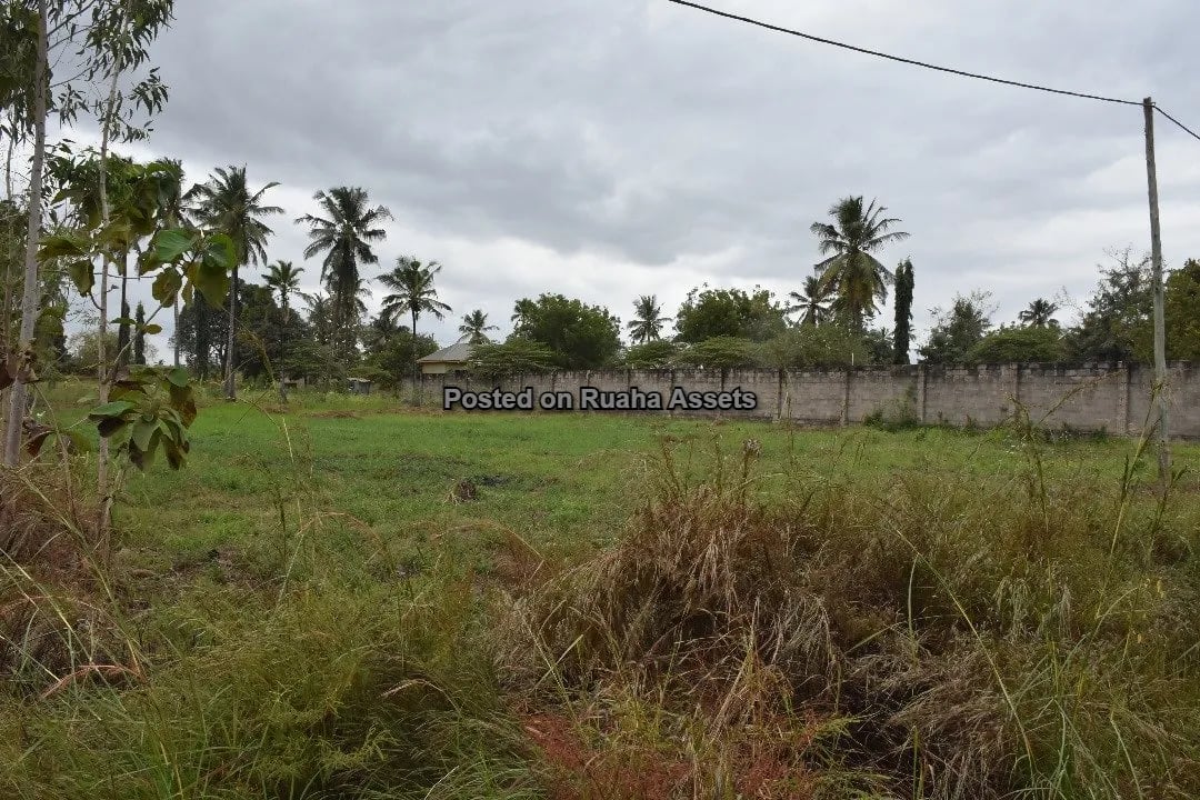 Kiwanja Kikubwa Kinauzwa Mabwepande image 8