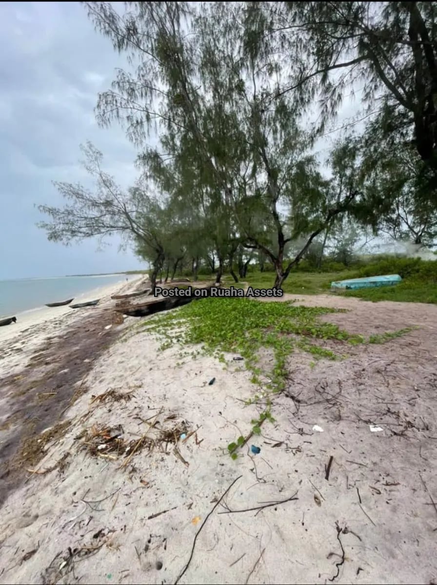 Beach Plot for Sale at Mapinga, Dar es Salaam image 3